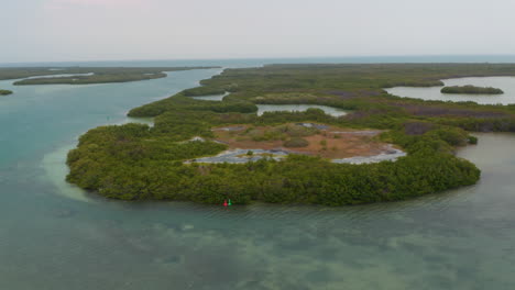 Adelante-Revelan-Los-Manglares-Que-Separan-La-Laguna-Y-El-Océano.-Amplia-Zona-De-Arboles-Y-Arbustos-En-Costa.-Reserva-Natural.-Río-Lagartos,-México.