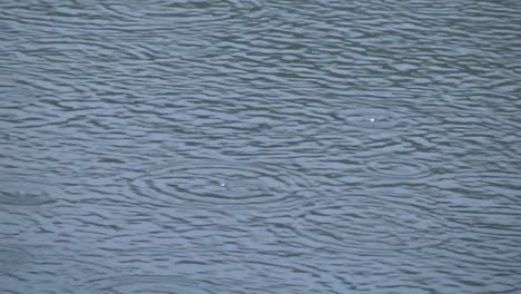 Gotas-De-Lluvia-En-El-Lago