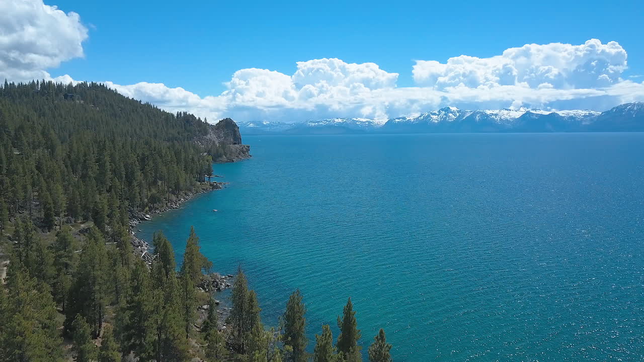 타호 호수 (lake tahoe) 를 볼 수 있는 숲 위로 올라가는 드론의 드론 영상