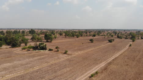 droneshot de campos de agricultores de camboya en el área rural