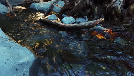 mountain creek with crystal clear water in autumn forest. wild water flow