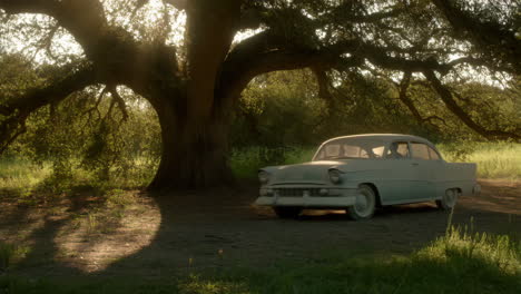 vintage car on a dusty rural path under a large tree