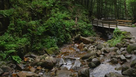 a calm stream runs over colorful stones beneath a wooden bridge within a forest