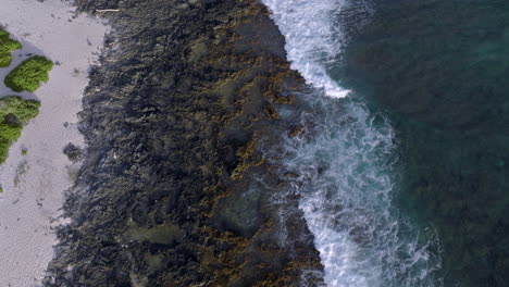 push over shore line at sandy beach park and over pacific ocean in oahu, hawaii