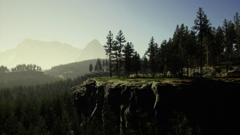 serene cliff overlooking a lush forest during a tranquil morning light