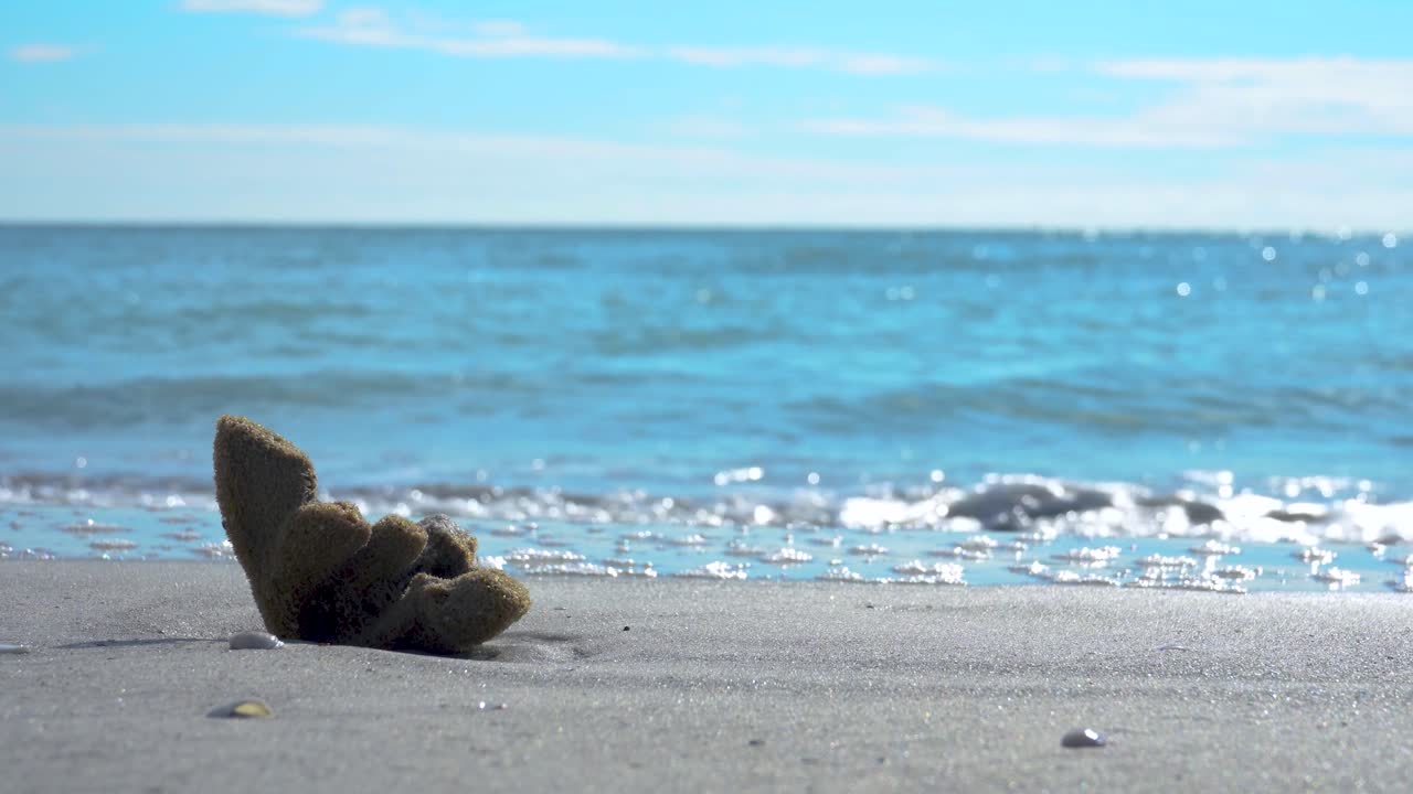 Natural sponge washed ashore on the beach with gentle waves and a blue sky