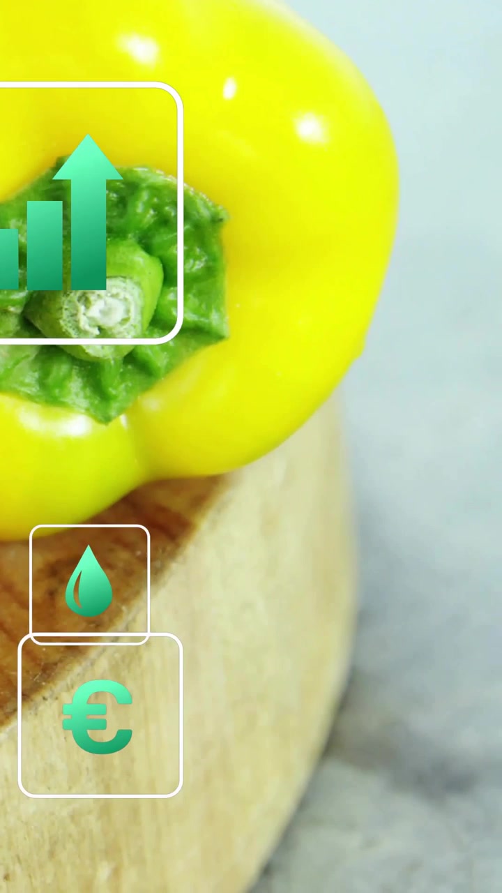 Video verticale: Gocciolina che appare, icone color verde acqua che si animano sopra un peperone giallo, la telecamera zooma per l'inquadratura