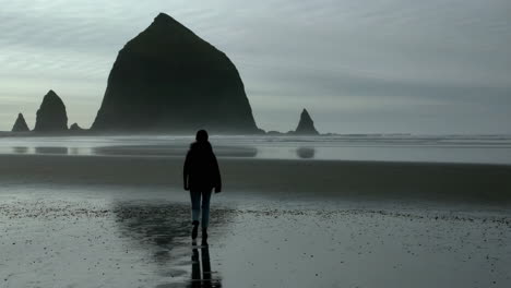 person walking on a moody beach towards a large rock formation