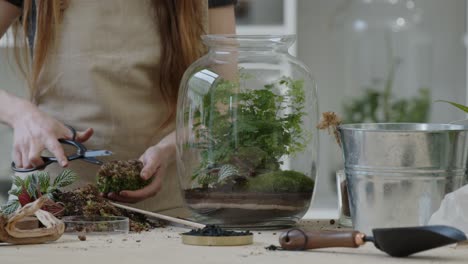 a young woman creates a small ecosystem in a glass terrarium and cuts the moss with scissors - a forest-in-a-jar concept close-up