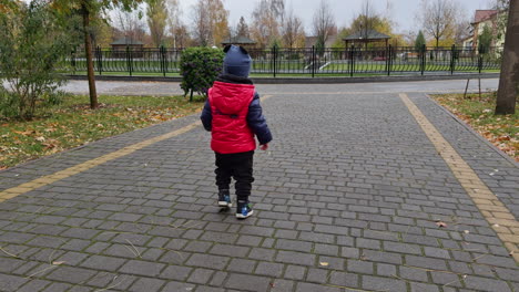 rear view of a toddler in red jacket walking by the alley. cute kid in the fresh air in autumn.