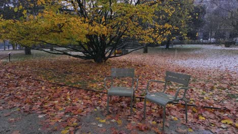 two jardin du luxembourg chairs under snow in paris