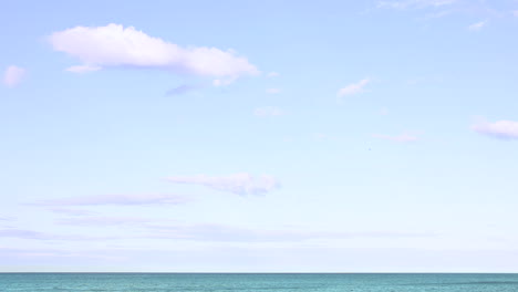 minimal ocean scenery with single bird flying around in beautiful blue sky