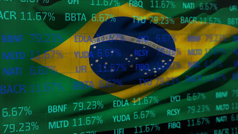 stock market data processing against brazilian national flag