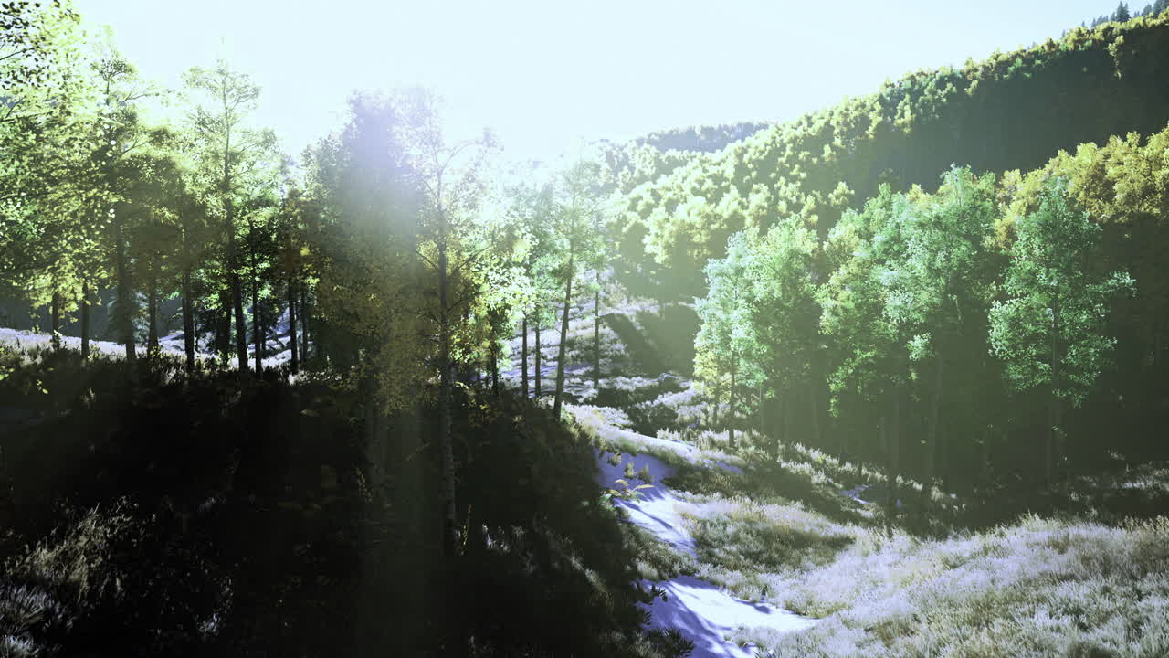 Morning light filters through a lush forest in a tranquil valley setting