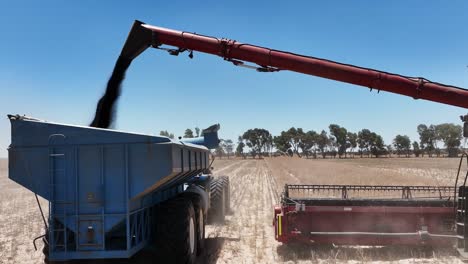 Ingrese-Al-Mundo-De-La-Maquinaria-De-última-Generación-Durante-Una-Operación-De-Cosecha-De-Canola-A-Gran-Escala.