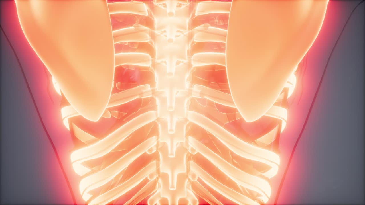 눈에 띄는  ⁇ 가 있는 투명한 인간 몸