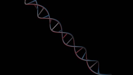 dna diagonal 4k 3d render alpha canal de la manzana de los prores