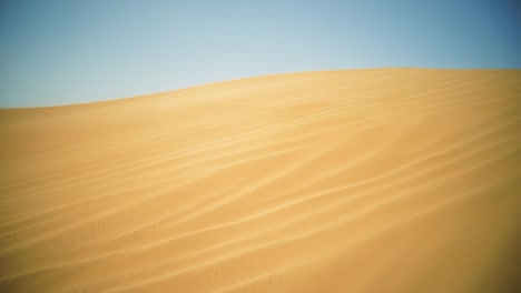 las dunas de arena del desierto