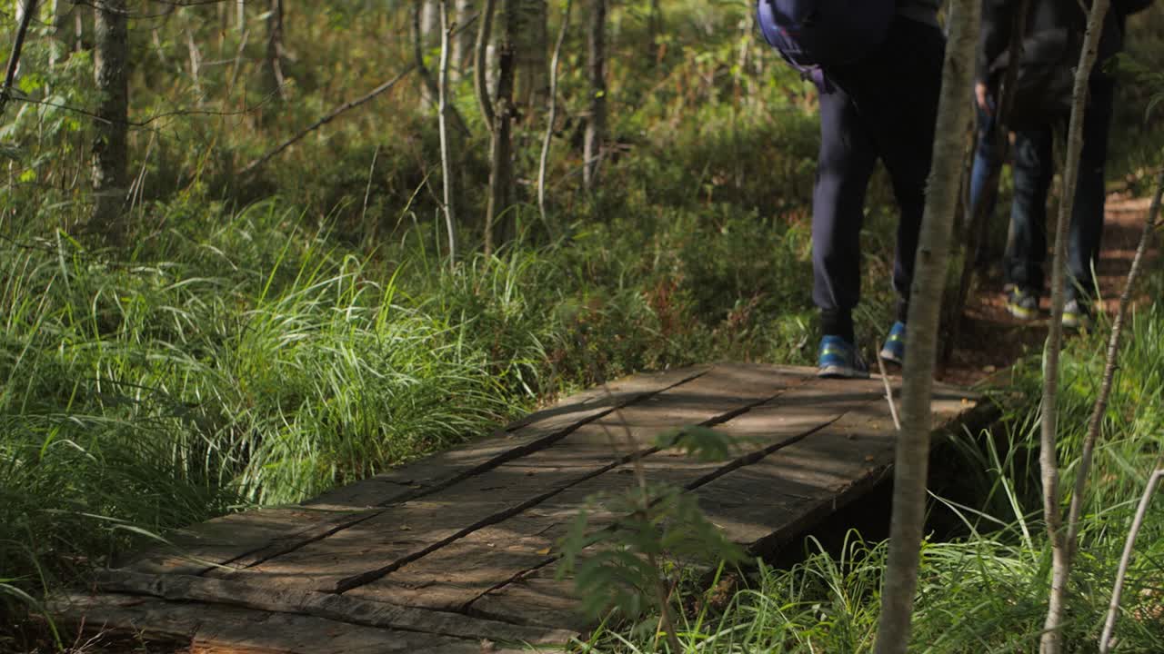 excursionistas de montaña caminando en un bosque en un sendero soleado otoño verano atmósfera bolsa de cuero en un hombro y bolsa turística