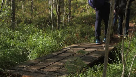 Mountain-hikers-walking-in-a-forest-on-a-trail-sunny-autumn-summer-atmosphere-leather-bag-on-a-shoulder-and-tourist-bag