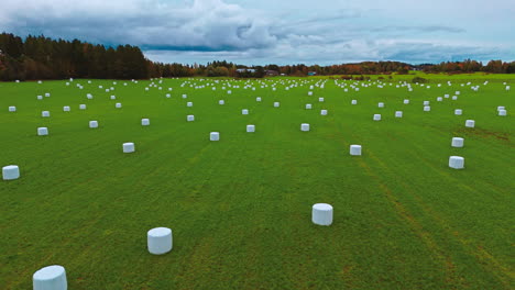 Recently-harvested-feed-or-fodder-wrapped-in-white-plastic-bales-on-a-green-field