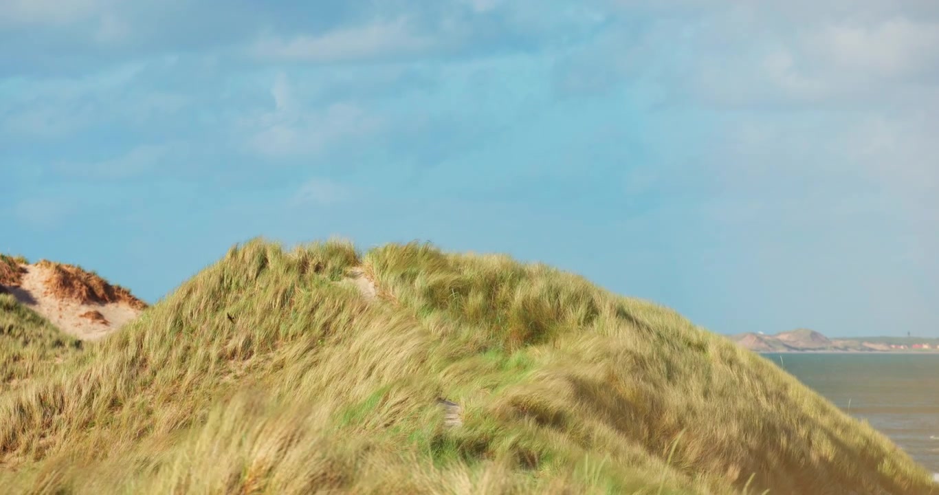 Gresskledde sanddyner og kysthav ved Sydstrand Skagen