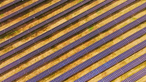 cinematic top view captures structured solar grid glowing in warm sunlight