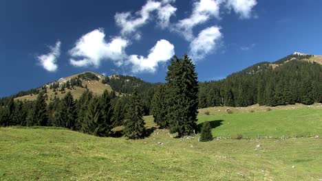 Alm-Mit-Kühen-In-Den-Bayerischen-Alpen-Bei-Sudelfeld,-Deutschland-12