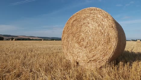 fianzas redondas de heno recién cosechadas en el