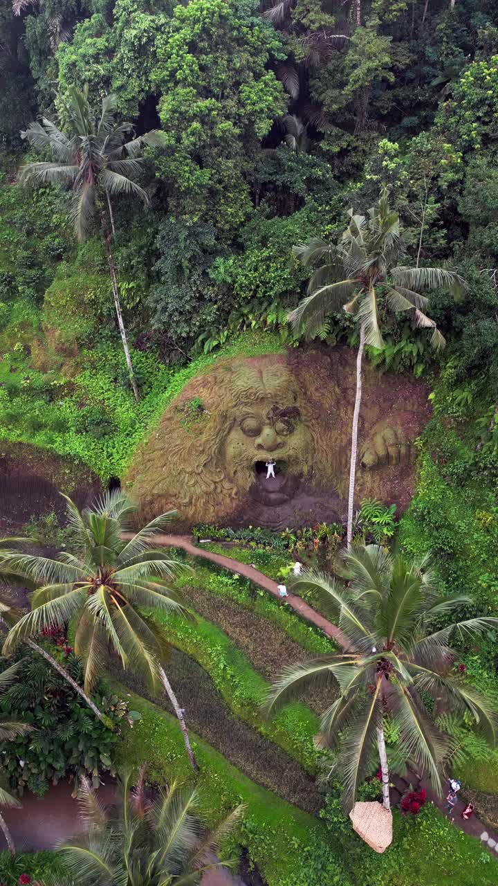 Vertical drone footage of Alas Harum showing palm trees, riverside paths, terraced fields, tropical gardens, and the monkey face mountain carving arranged across the Tegalalang jungle setting in Bali