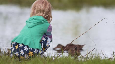 Primer-Plano-De-Una-Niña-Sentada-Y-Viendo-Patos-Reales-Nadando-En-Un-Estanque