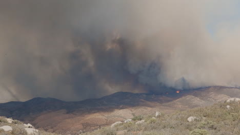 rising dark smokes in wild forest fire