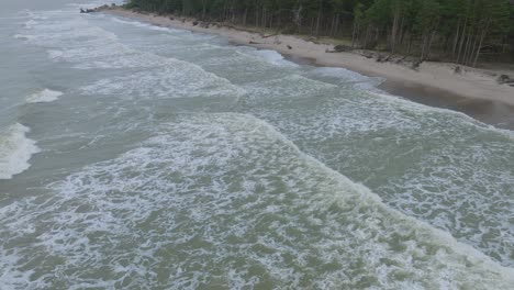 aerial establishing view of big stormy waves breaking against the white sand beach, overcast day, seashore dunes damaged by waves, coastal erosion, climate changes, wide drone shot moving forward