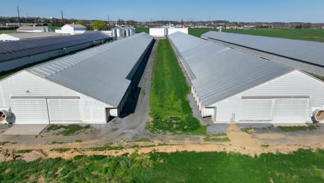 huge cattle barns with exhaust fans in farmland,aerial view