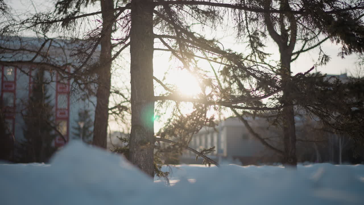 Snow ground with silhouetted trees and sun peeking through branches, city buildings blurred in background, backlit winter scene with frost on trunks and soft glow over serene urban nature