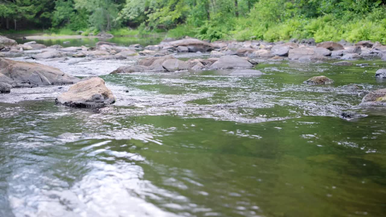Piano medio di un fiume o ruscello che sfocia in uno stagno.