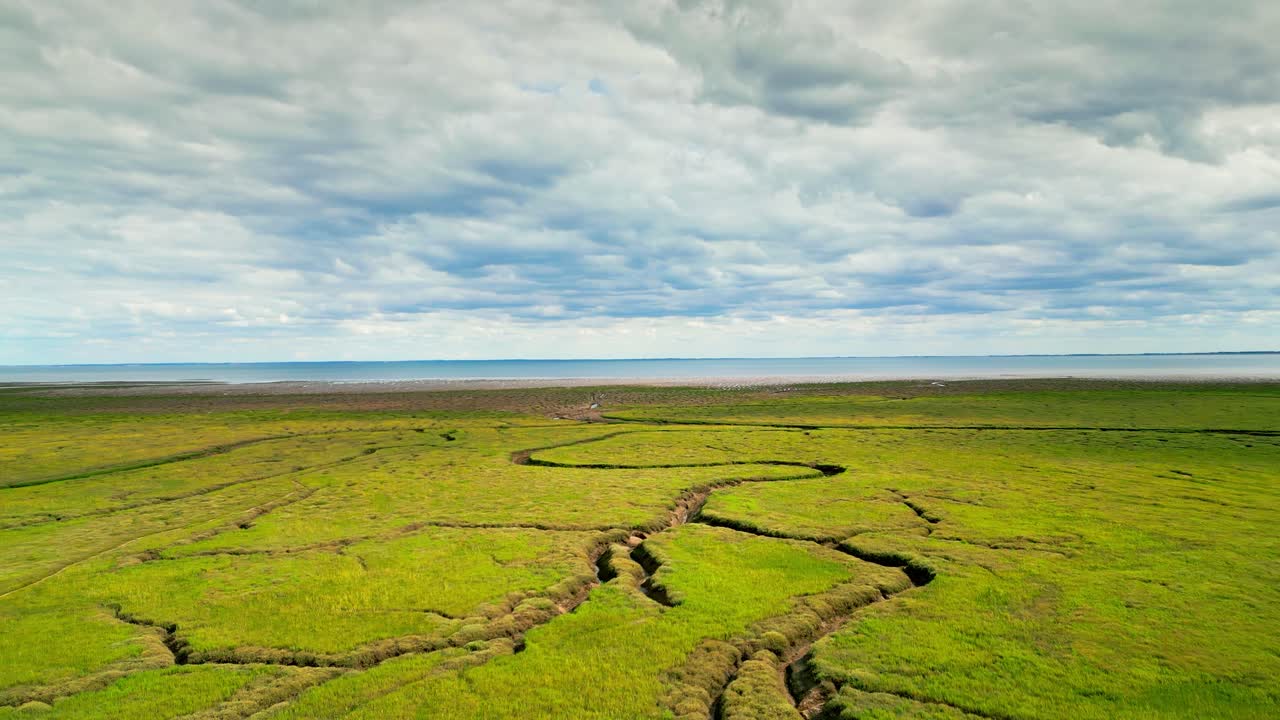 pisos de barro agrietados en un pantano salado