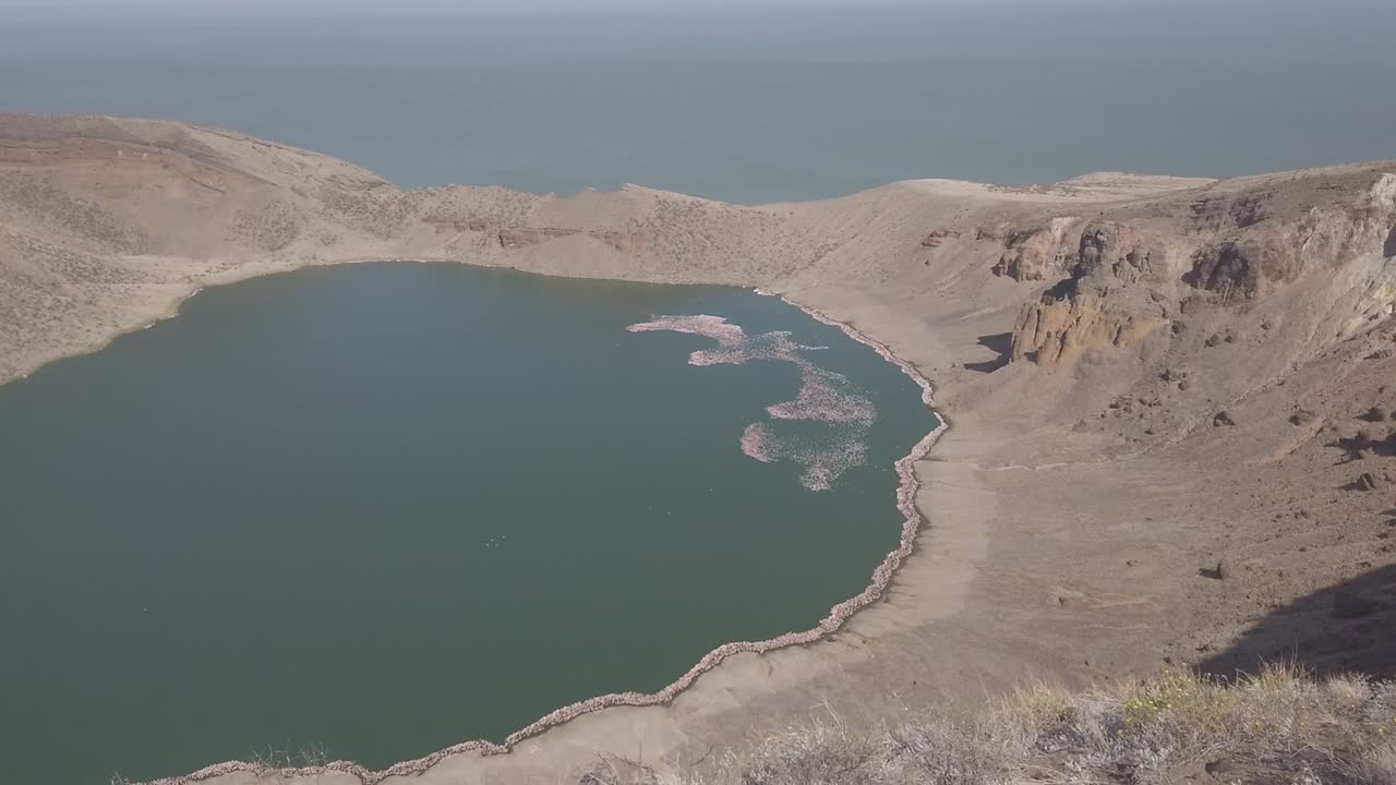 vista del lago flamenco en el lago turkana isla central