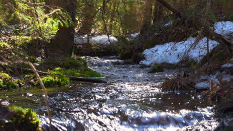 tripod shot of beautiful small river in a boreal forest by springtime with some snow on the banks