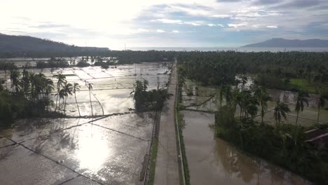 aerial view of paddy fields with destroyed street lights after the hit of typhoon in southern leyte, philippines