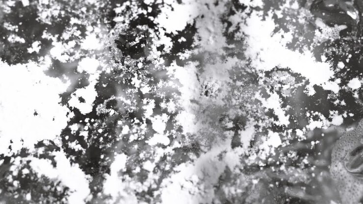 Sfondo con texture alfa macro di liquido in movimento in bianco e nero