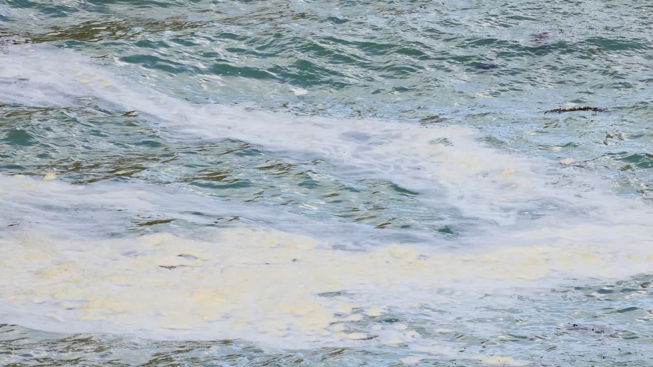 Dynamic ocean waves crash against the rocky shore at Loch Ard Gorge, captured with natural lighting and steady camera work