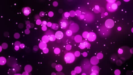 qué hermoso bokeh. loop de video.