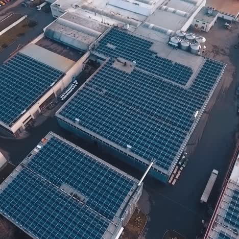top view of solar power station on roofs. view from the air on the buildings with blue solar panels. renewable source of energy from the sun. aerial view.