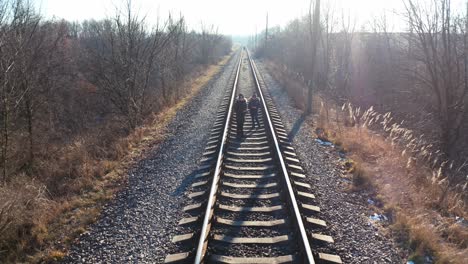 Rear view of people walking on rails. People walking along the rails in the middle of the forest