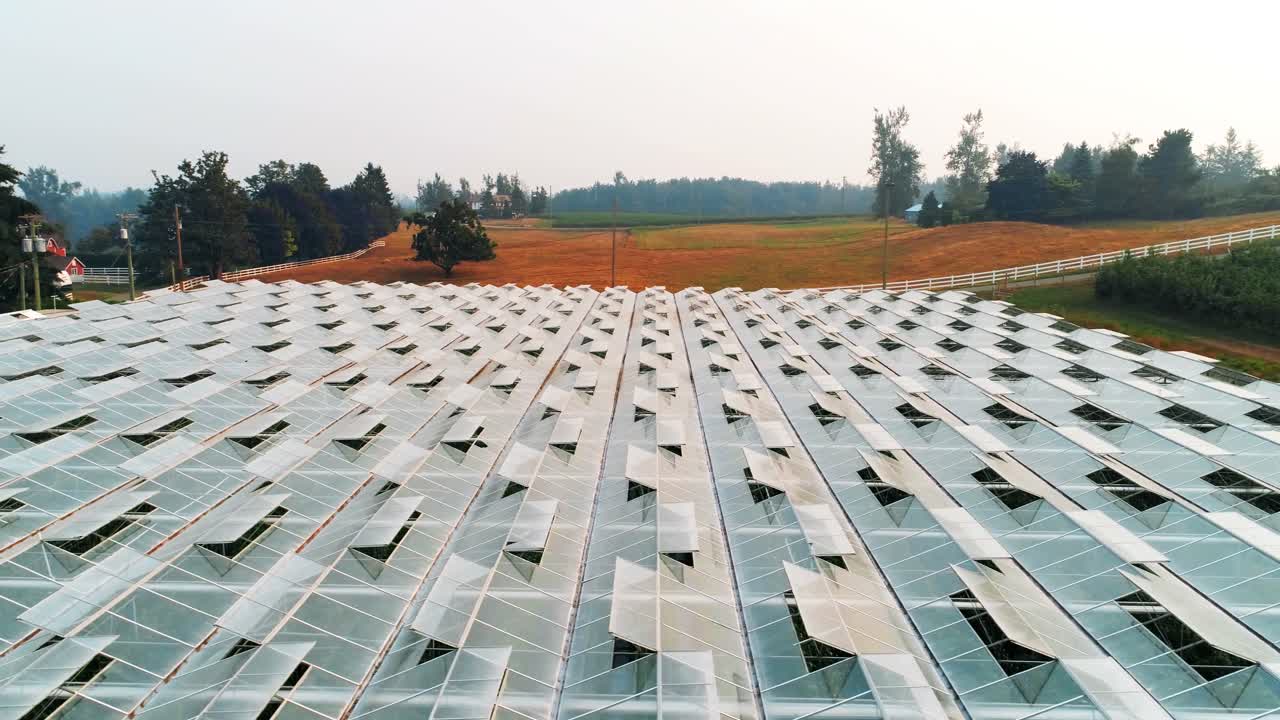 지붕 유리로  ⁇ 인 초록색 농장 4k