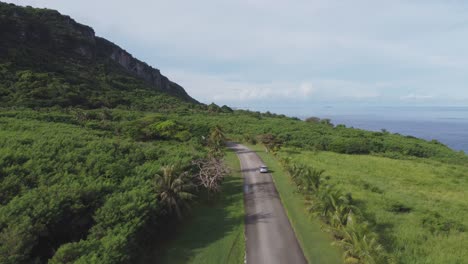 drone shot of a car driving along forestry road of banzai cliff