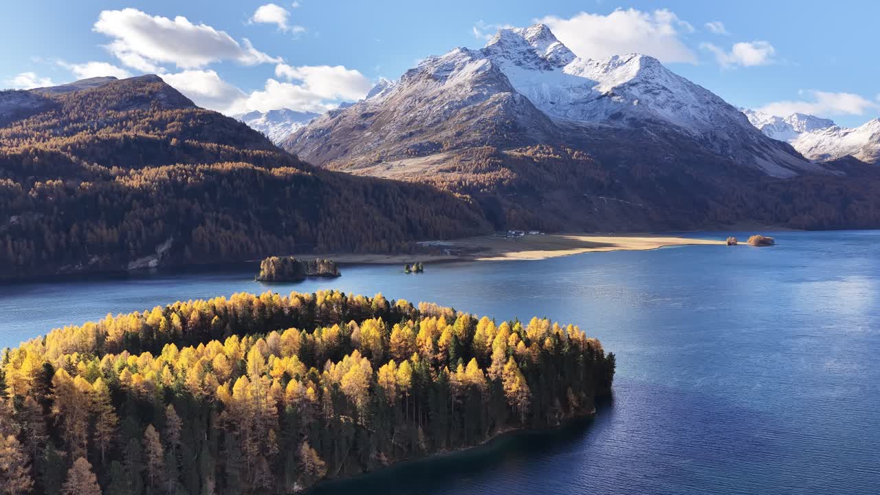 Scenic aerial of golden autumn larches on a small island in Lake Sils, Engadin Valley, Switzerland, set against snow-capped Alps. Tranquil alpine travel, nature, and scenic background footage