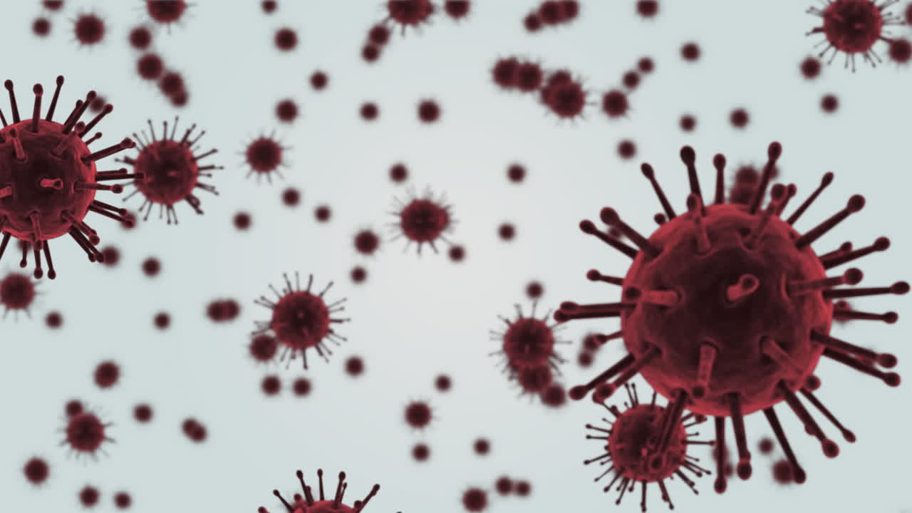 Animazione di molteplici cellule di coronavirus fluttuanti che si diffondono e infettano.
