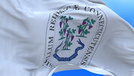 connecticut flag.